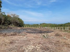  Terreno (Parcela) en venta en Dist Pochutla, Oaxaca, Dist Pochutla