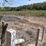  Terreno (Parcela) en venta en Dist Pochutla, Oaxaca, Dist Pochutla