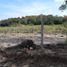  Terreno (Parcela) en venta en Dist Pochutla, Oaxaca, Dist Pochutla