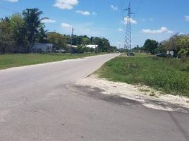  Grundstück zu verkaufen in Othon P Blanco, Quintana Roo, Othon P Blanco