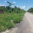  Grundstück zu verkaufen in Othon P Blanco, Quintana Roo, Othon P Blanco