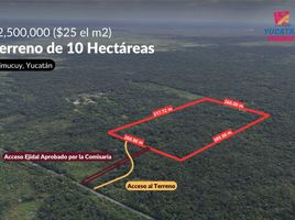 在Acanceh, Yucatan出售的 土地, Acanceh