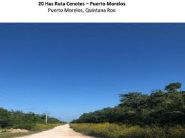  Grundstück zu verkaufen in Puerto Morelos, Quintana Roo, Puerto Morelos