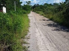  Grundstück zu verkaufen in Othon P Blanco, Quintana Roo, Othon P Blanco