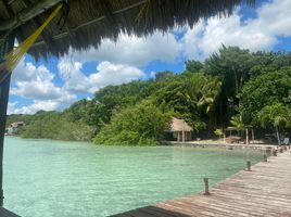  Land for sale in Othon P Blanco, Quintana Roo, Othon P Blanco