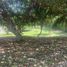  Land for sale in Othon P Blanco, Quintana Roo, Othon P Blanco
