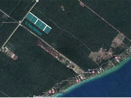  Terrain for sale in Othon P Blanco, Quintana Roo, Othon P Blanco