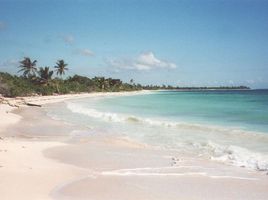  Grundstück zu verkaufen in Othon P Blanco, Quintana Roo, Othon P Blanco