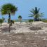  Grundstück zu verkaufen in Othon P Blanco, Quintana Roo, Othon P Blanco