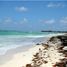  Grundstück zu verkaufen in Othon P Blanco, Quintana Roo, Othon P Blanco