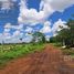  Land for sale in Merida, Yucatan, Merida, Yucatan