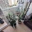 2 Habitación Apartamento en venta en Chile, Chillan, Diguillín, Ñuble, Chile