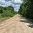  Grundstück zu verkaufen in Othon P Blanco, Quintana Roo, Othon P Blanco