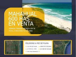  Terreno (Parcela) en venta en Bocas del Toro, Guabito, Changuinola, Bocas del Toro