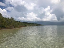  Grundstück zu verkaufen in Othon P Blanco, Quintana Roo, Othon P Blanco