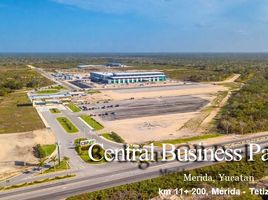  Grundstück zu verkaufen in Merida, Yucatan, Merida