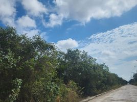  Grundstück zu verkaufen in Cancun, Quintana Roo, Cancun