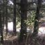  Land for sale in Mineral Del Chico, Hidalgo, Mineral Del Chico