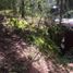  Land for sale in Mineral Del Chico, Hidalgo, Mineral Del Chico
