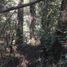  Land for sale in Mineral Del Chico, Hidalgo, Mineral Del Chico