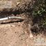  Land for sale in Mineral Del Chico, Hidalgo, Mineral Del Chico