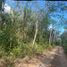 Terrain à vendre à Othon P Blanco, Quintana Roo, Othon P Blanco