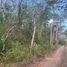 Terrain à vendre à Othon P Blanco, Quintana Roo, Othon P Blanco