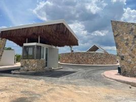  Land for sale in Conkal, Yucatan, Conkal