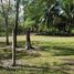 Grundstück zu verkaufen in Othon P Blanco, Quintana Roo, Othon P Blanco