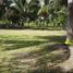  Grundstück zu verkaufen in Othon P Blanco, Quintana Roo, Othon P Blanco