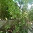  Land for sale in Chemax, Yucatan, Chemax