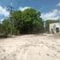 Grundstück zu verkaufen in Chemax, Yucatan, Chemax