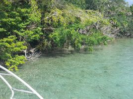  Terreno (Parcela) en venta en Othon P Blanco, Quintana Roo, Othon P Blanco