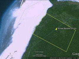  Terreno (Parcela) en venta en Othon P Blanco, Quintana Roo, Othon P Blanco