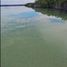  Terreno (Parcela) en venta en Othon P Blanco, Quintana Roo, Othon P Blanco