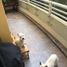 Appartement 3 chambre à vendre à Naucalpan De Juarez, Mexico, Naucalpan De Juarez