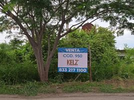  Grundstück zu verkaufen in Panuco, Veracruz, Panuco