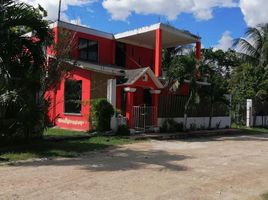  Grundstück zu verkaufen in Othon P Blanco, Quintana Roo, Othon P Blanco