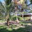  Grundstück zu verkaufen in Othon P Blanco, Quintana Roo, Othon P Blanco