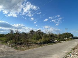  Grundstück zu verkaufen in Merida, Yucatan, Merida, Yucatan