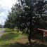  Land for sale in Morelia, Michoacan, Morelia
