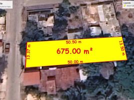 Grundstück zu verkaufen in Othon P Blanco, Quintana Roo, Othon P Blanco
