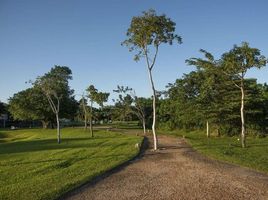  Grundstück zu verkaufen in Conkal, Yucatan, Conkal