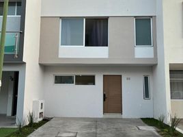 3 Schlafzimmer Haus zu verkaufen in Zapopan, Jalisco, Zapopan