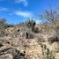  Land for sale in Tierra Nueva, San Luis Potosi, Tierra Nueva