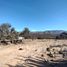  Land for sale in Tierra Nueva, San Luis Potosi, Tierra Nueva