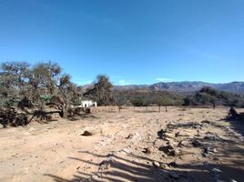  Grundstück zu verkaufen in Tierra Nueva, San Luis Potosi, Tierra Nueva, San Luis Potosi