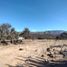  Land for sale in Tierra Nueva, San Luis Potosi, Tierra Nueva