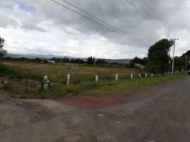  Land for sale in Tarimbaro, Michoacan, Tarimbaro