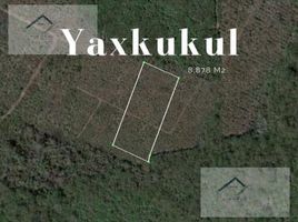  Land for sale in Tixkokob, Yucatan, Tixkokob
